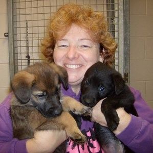 Meet your Posher, Carol